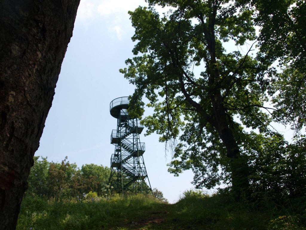 Japetić, najviši vrh Samoborskog gorja na 879 metara nadmorske visine, s Planinarskim domom Žitnica – preuzeto s pp-zumberak-samoborsko-gorje.hr