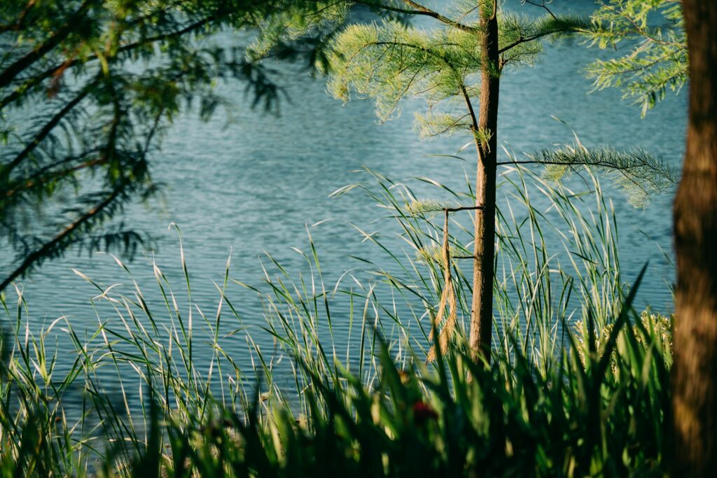 Jezero Rakitje, popularno izletište s čistom vodom i prirodnim okruženjem